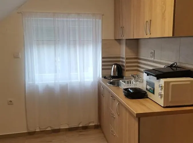 Apartment Lux Nedeljkovic Gornja Trepca