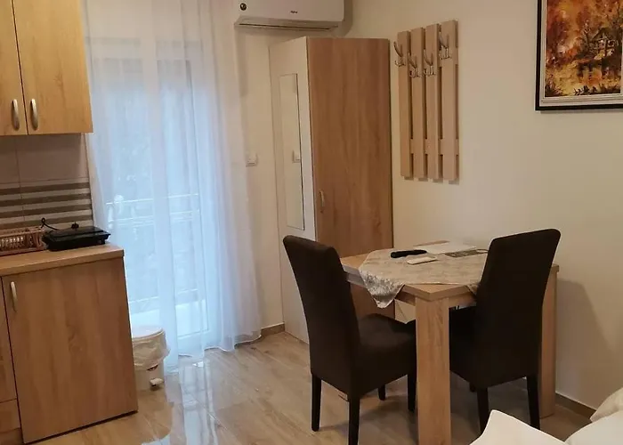 Lux Nedeljkovic Gornja Trepca Apartment