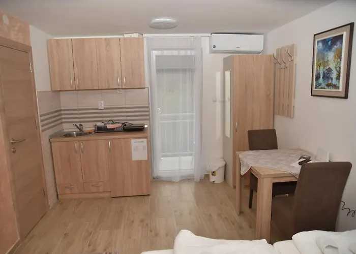 Apartment Lux Nedeljkovic Gornja Trepca *