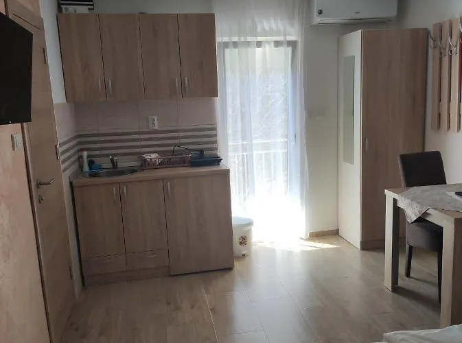 Lux Nedeljkovic Gornja Trepca Apartment